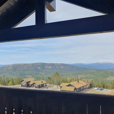 Wonderful Cabin With Amazing Mountain - View Lifjell Eksteriør billede