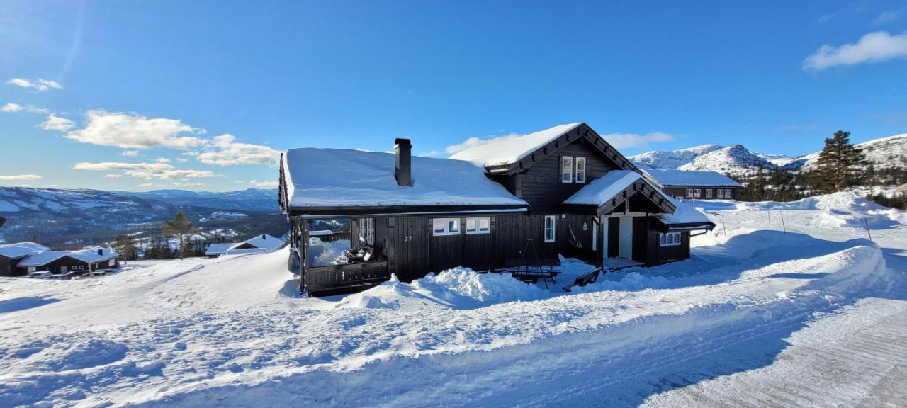 Wonderful Cabin With Amazing Mountain - View Lifjell Eksteriør billede