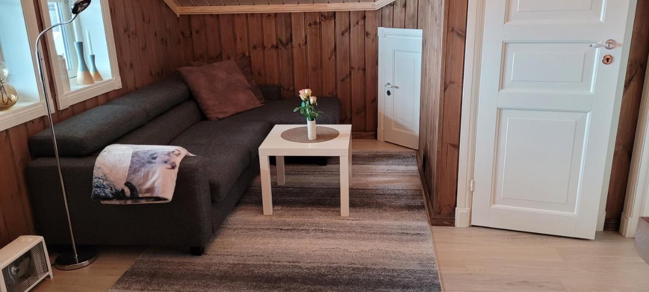 Wonderful Cabin With Amazing Mountain - View Lifjell Eksteriør billede