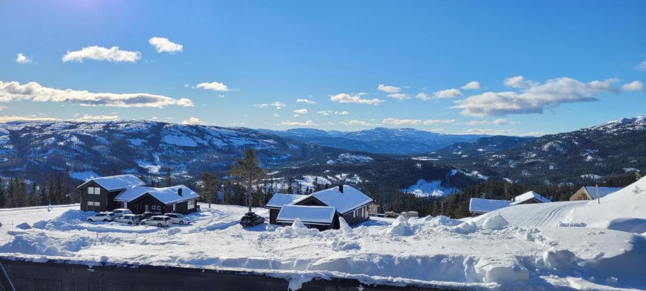 Wonderful Cabin With Amazing Mountain - View Lifjell Eksteriør billede