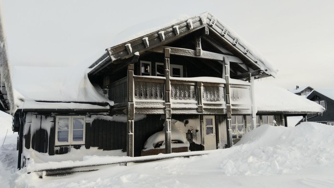 Wonderful Cabin With Amazing Mountain - View Lifjell Eksteriør billede