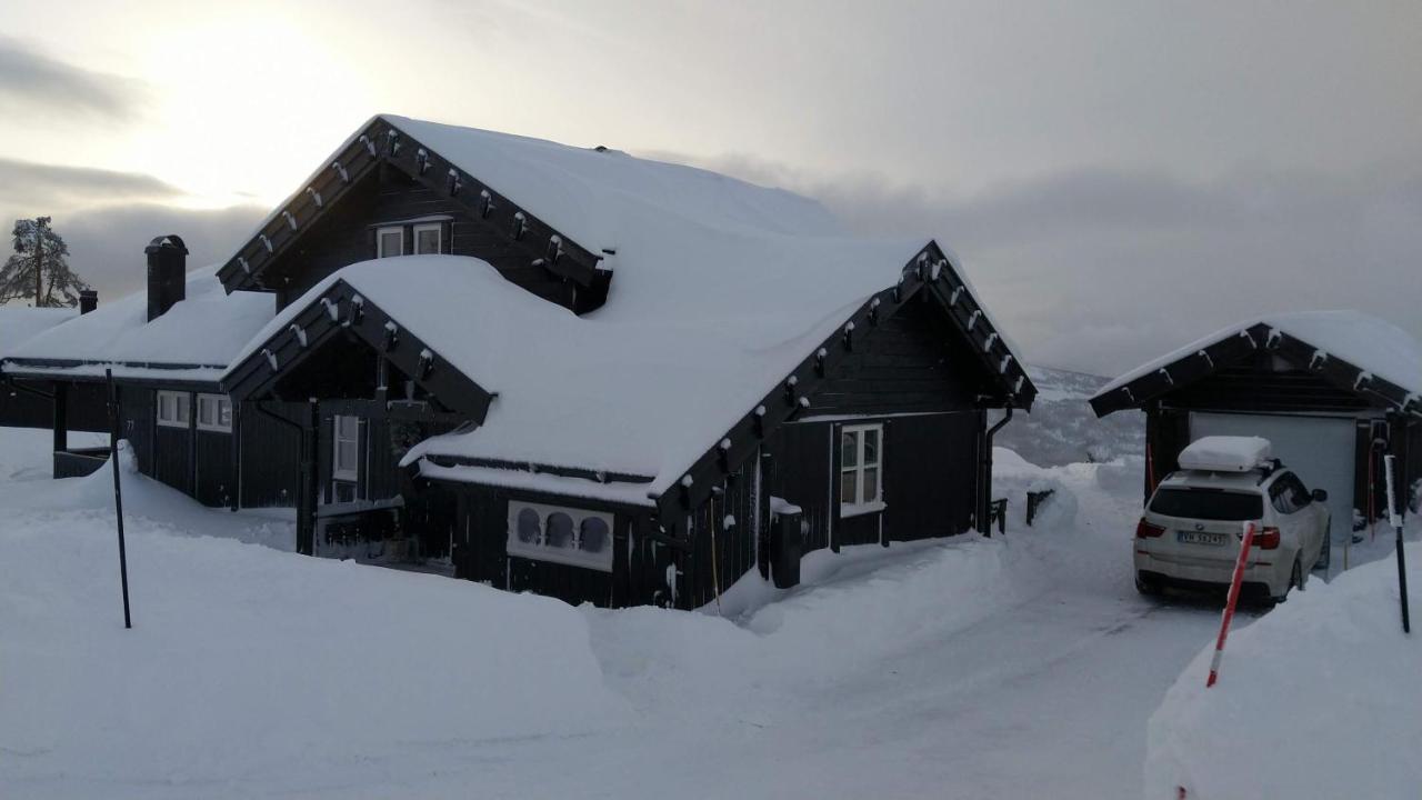 Wonderful Cabin With Amazing Mountain - View Lifjell Eksteriør billede