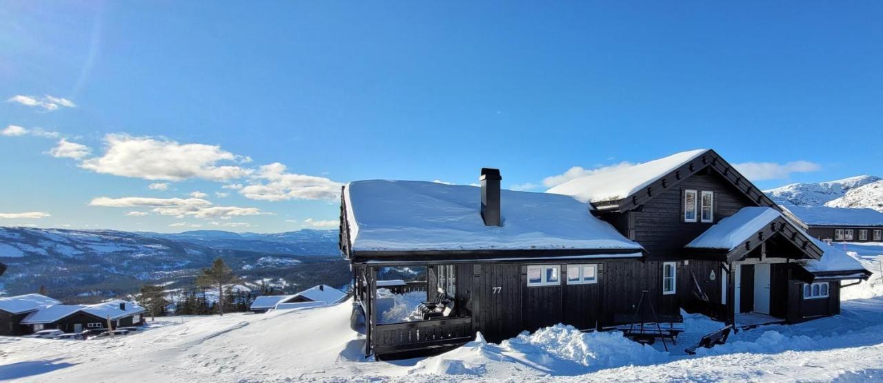 Wonderful Cabin With Amazing Mountain - View Lifjell Eksteriør billede